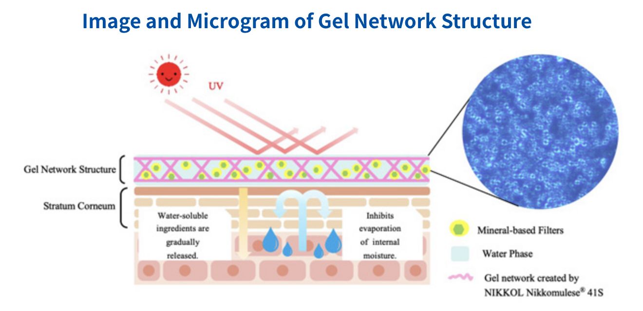 Image and Microgram of Gel Network Structure