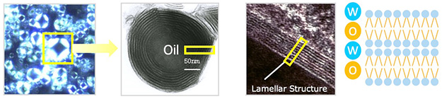 Second Skin Structure Hydrate for 24h